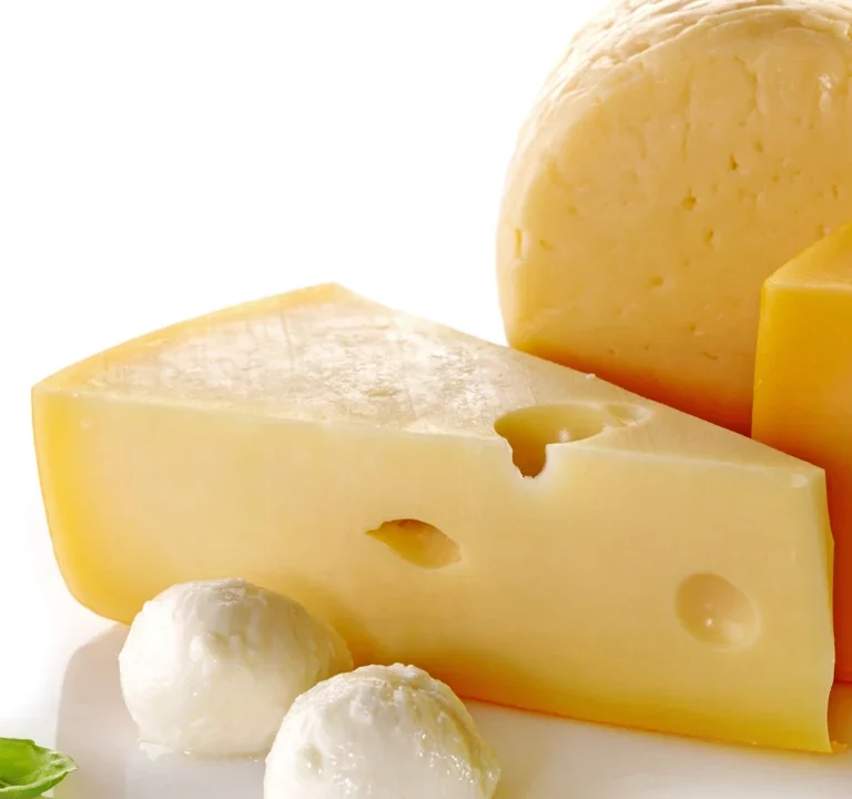 The Evolution of Vegan Cheese Technology​