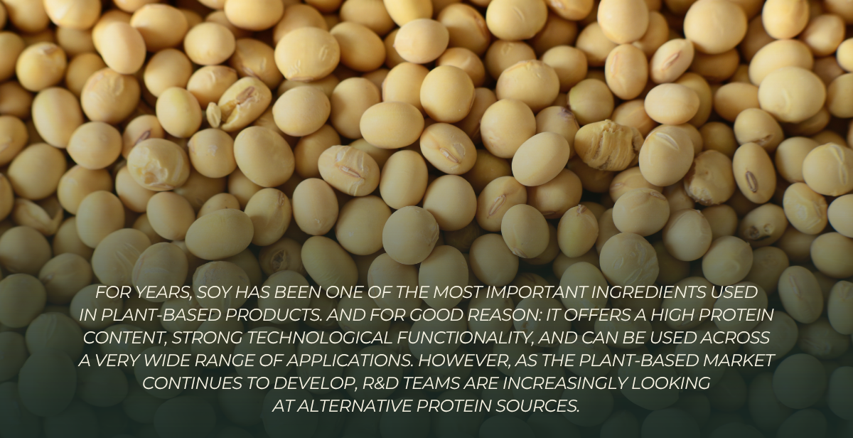 Beyond Soy Plant Proteins for New Products